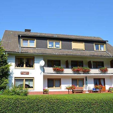 Fewo Wilke Willingen  Zewnętrze zdjęcie