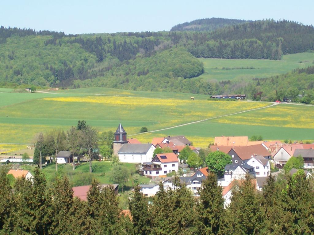 Fewo Wilke Willingen  Zewnętrze zdjęcie